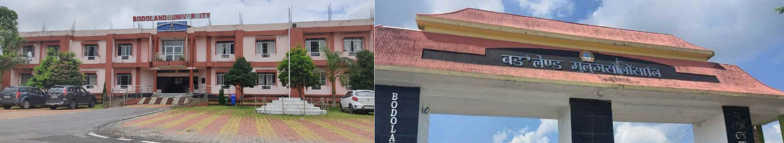 bodoland university